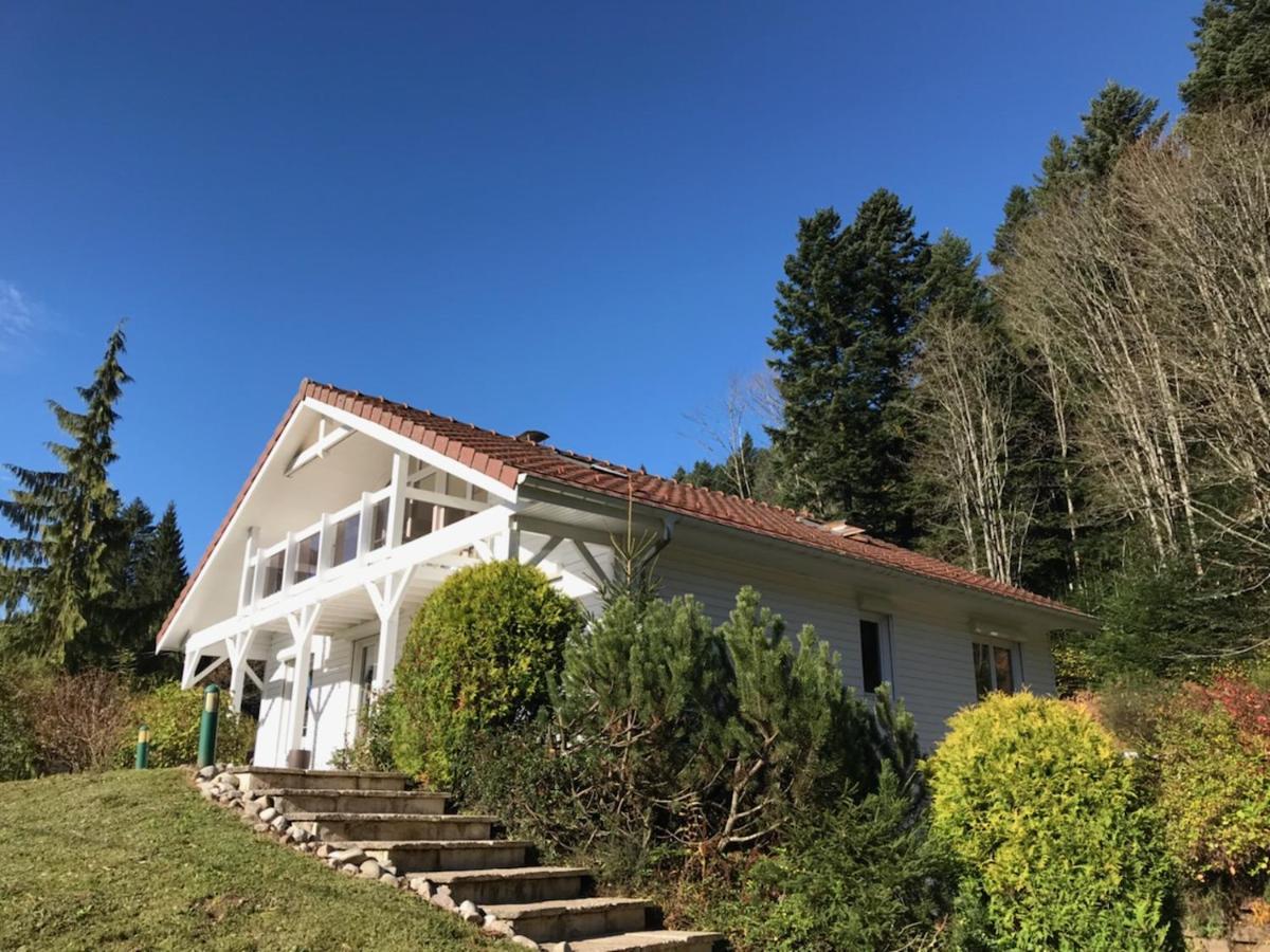 Le Chalet Blanc - Jacuzzi / Piscine / Sauna جوراردُميه المظهر الخارجي الصورة
